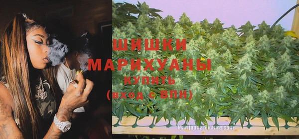 гашик Бронницы