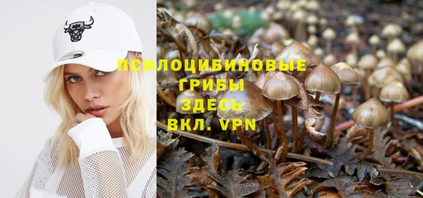 бошки Покров