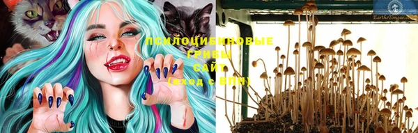 твердый Покачи