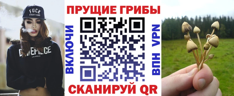 Псилоцибиновые грибы Psilocybine cubensis  Котовск 